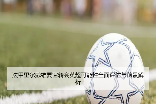 法甲里尔戴维夏窗转会英超可能性全面评估与前景解析